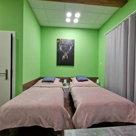 Stern Guest house *
